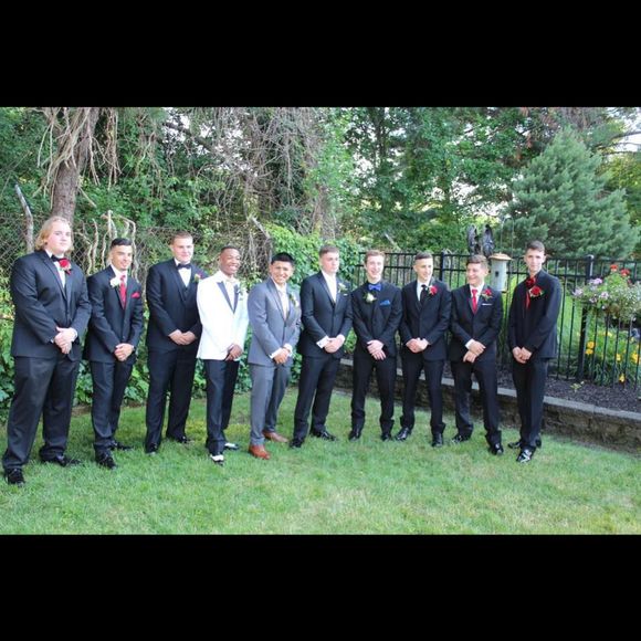 Meet your Posher, Frankie - Picture 1 of 1